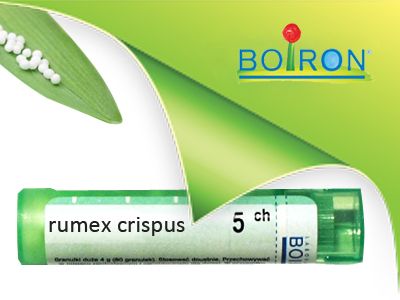 РУМЕКС криспус 5 CH зелен ( Rumex crispus )