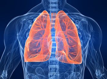 Билкова рецепта при туберкулоза на белите дробове