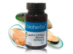 Биохерба - Екстракт от зеленоуста мида х 60 капсули